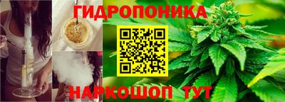шишки Мариинск