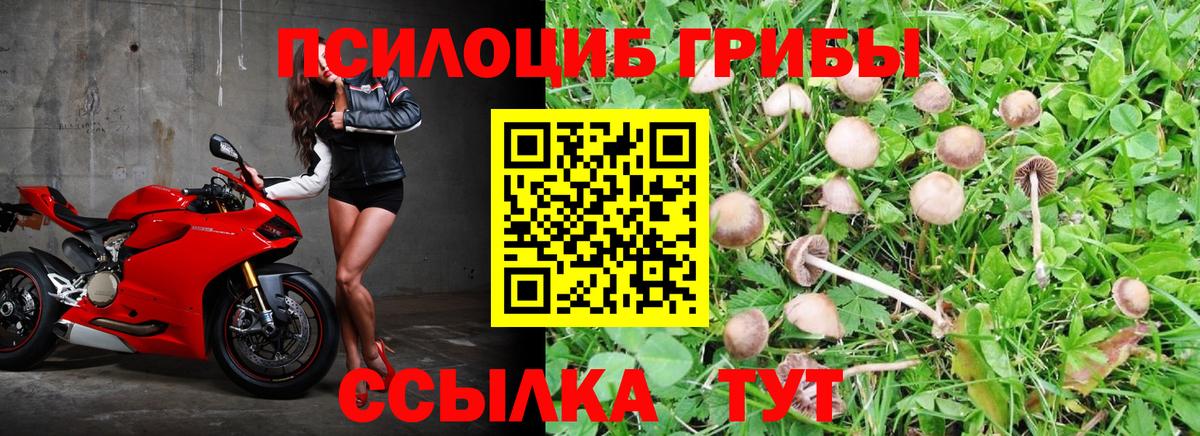 Галлюциногенные грибы GOLDEN TEACHER Тамбов
